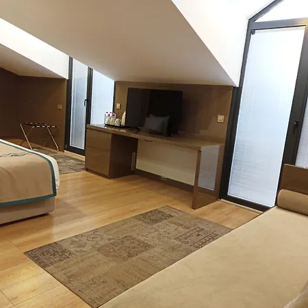 Peyk Oldcity 3* イスタンブール