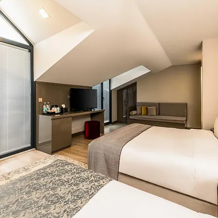 Hotel Peyk Sultanahmet 3*